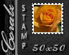 Orange Rose Stamp CZ~