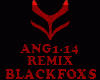 REMIX - ANG1-14