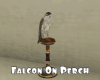 *Falcon On Perch