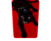 SN Cutout 8