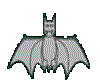 grey flying bat