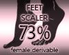 Foot Scaler Resizer 73%