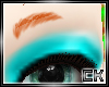 [Ck] Zig Feather Brows