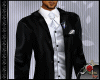 !TZN Full Suit Gray Tie