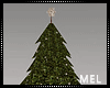 M-Christmas Tree