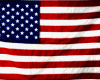 Flag -Accessory U.S.A