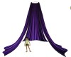 Purple Canopy Drapes