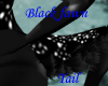Blackfawn tail