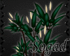 [S] Midnight Plant