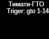Timati GTO