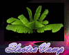 [EL] Tropical Plant 02