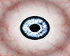 m28 Eyes Blue/Grey
