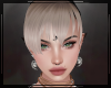+ AddOn Platinum V1