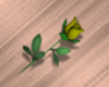 Tiny Gold Rose