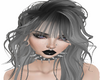 Semp Grey (Bangs Only)