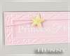 H. Princess Wall Sign