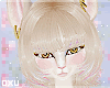 Furry Emma Neko