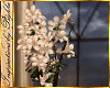 I~Zen FlowerBonsai Plant