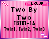 13~ TWIN SONG TWO BY TWO