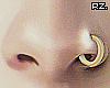 rz. Gold Nose Piercing