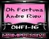 Oh Fortuna - Andre Rieu