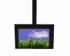 Ceiling TV