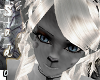 Siamese Ears{M/F}