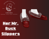 Her Mr. Buck Slippers