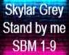 Skylar Grey stand by me