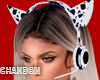 CH*Headphone Cow