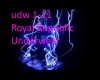 udw1-11 RoyalRepublic