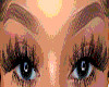 Halo Lashes