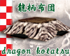 JP dragon kotatsu