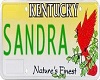 {v} Sandra Licence Plate