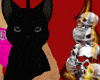 pitch black kitty