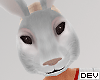 Mask Bunny F