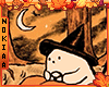 Pumpkin Seasonnnnn!!