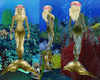 G* Mermaid Gold  Shells