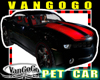 VG PET Car BLACK red BAD