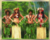 Hawaiian Group Dance