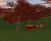 Parc Solitaire SwingTree