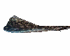 Stingrey Pet