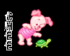 *Chee: Piglet turtle