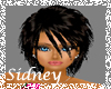 {SS} SexySable Sidney