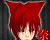 [N] Red - Neko Hair