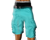 Aqua Shorts