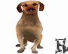Mongrel Dog Animated