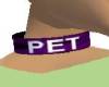 Pet collar Purple
