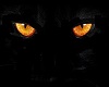 3D Orange Cat Eyes