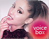 Ariana Grande Voice Box